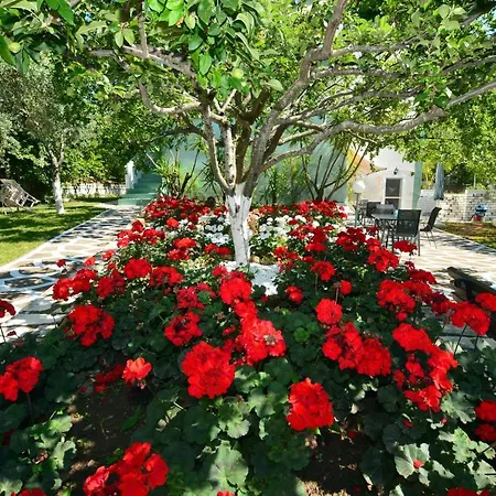 Emilia 3* Pachis (Thasos)